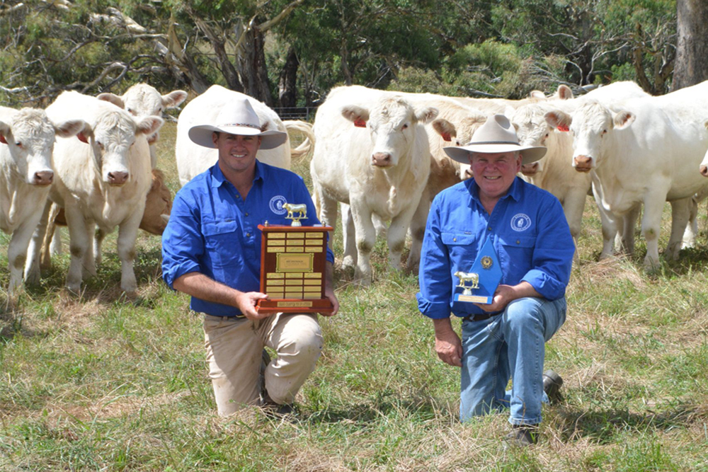 Rosedale Charolais Win 2021 NSW Beef Spectacular